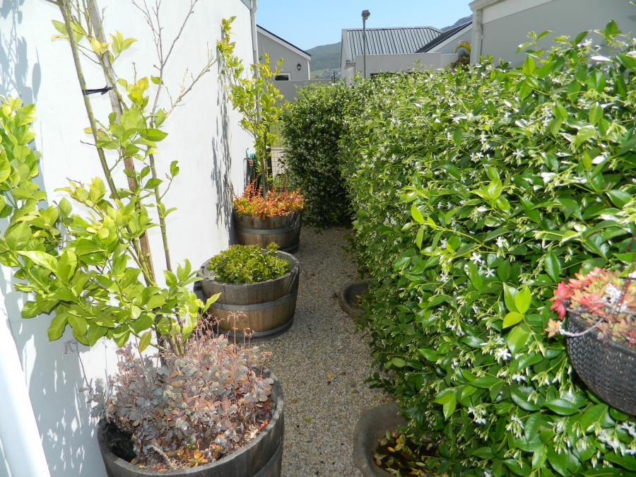 2 Bedroom Property for Sale in Bergenzicht Estate Western Cape
